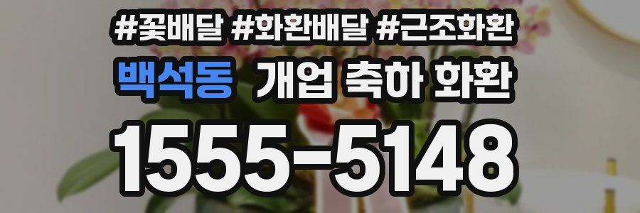 백석동 개업 축하 화환