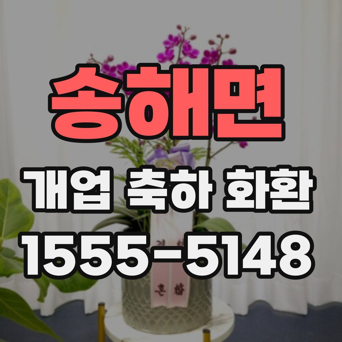 송해면 개업 축하 화환