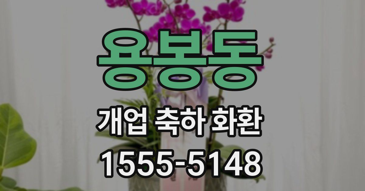 용봉동 개업 축하 화환