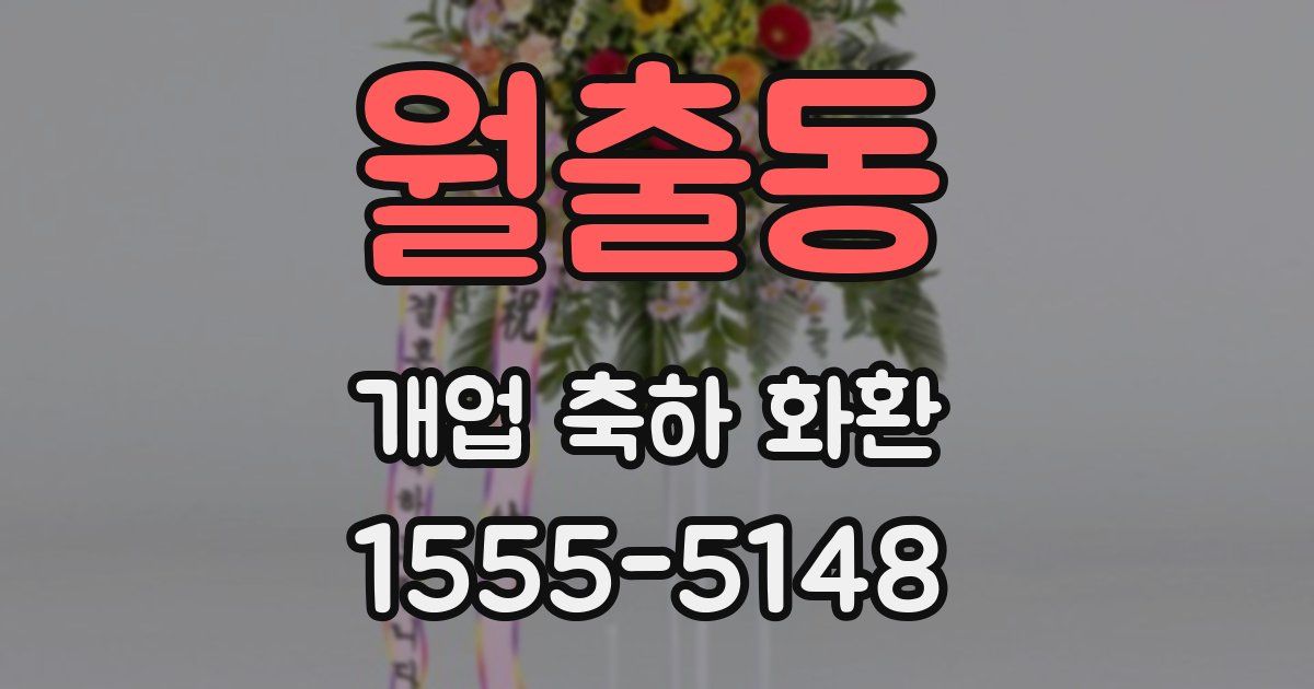 월출동 개업 축하 화환