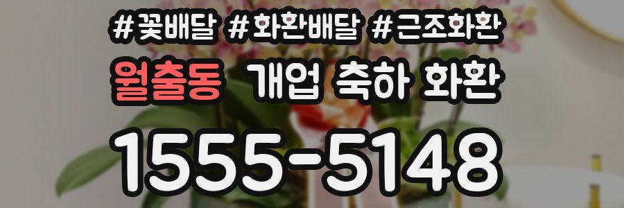 월출동 개업 축하 화환