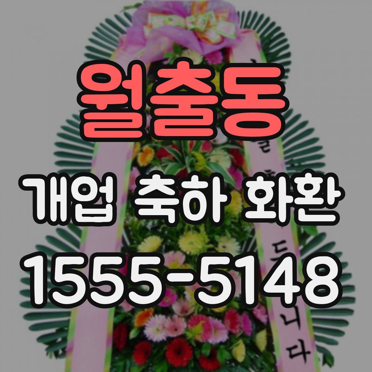 월출동 개업 축하 화환