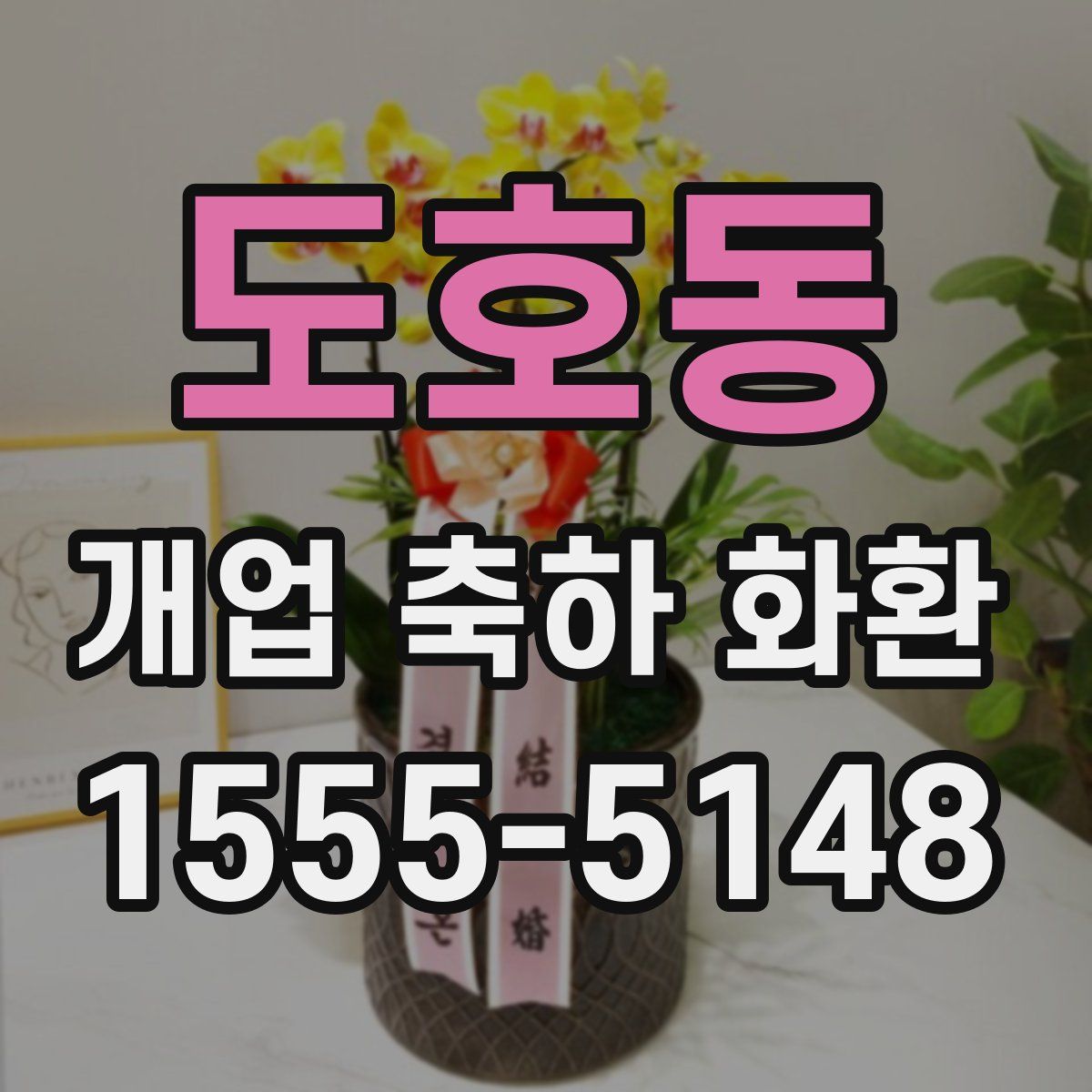 도호동 개업 축하 화환