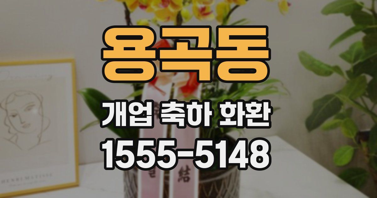 용곡동 개업 축하 화환