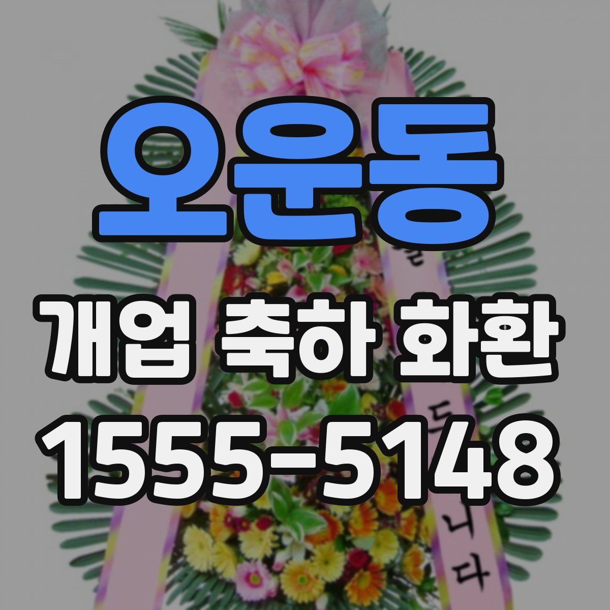오운동 개업 축하 화환