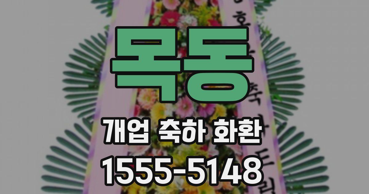 목동 개업 축하 화환