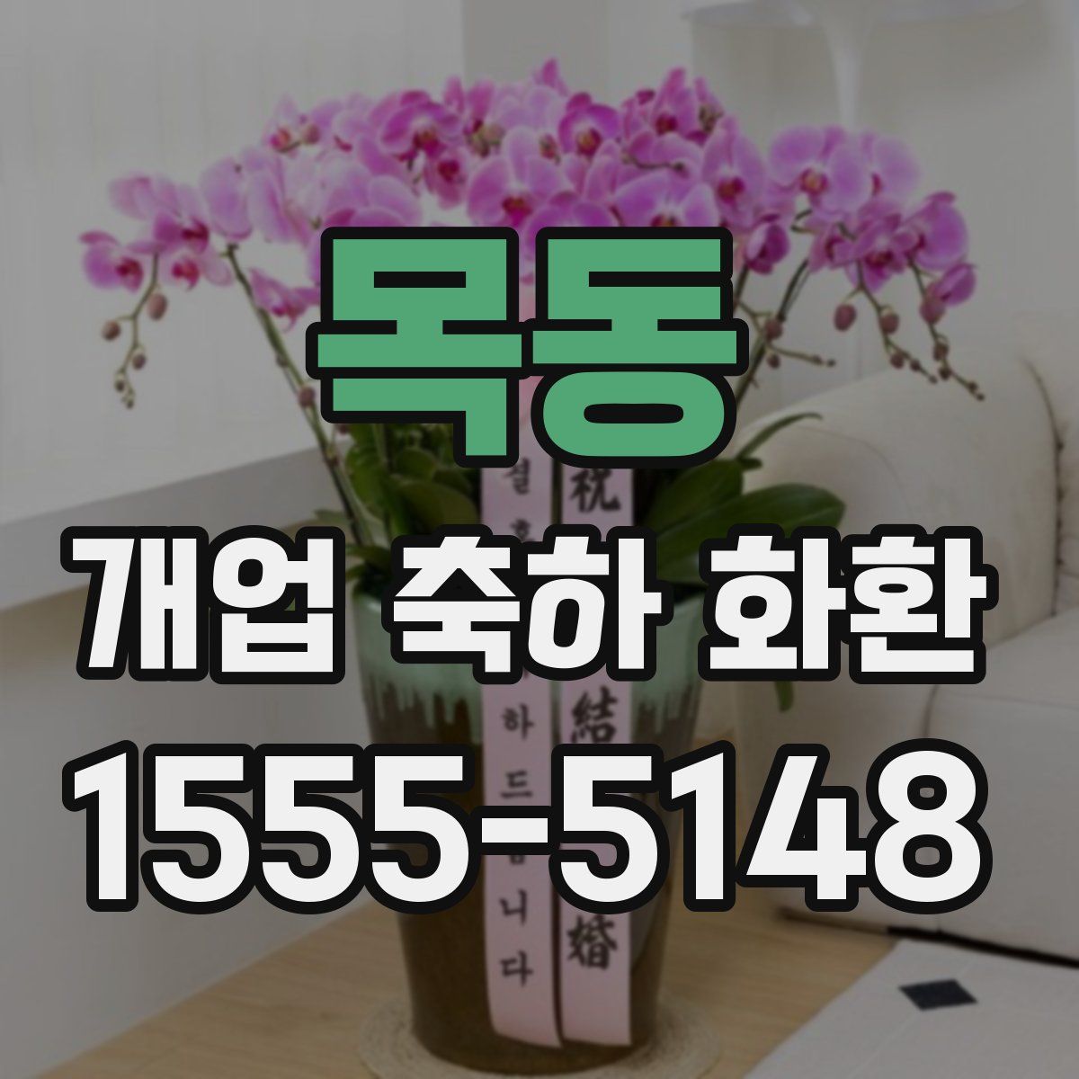목동 개업 축하 화환