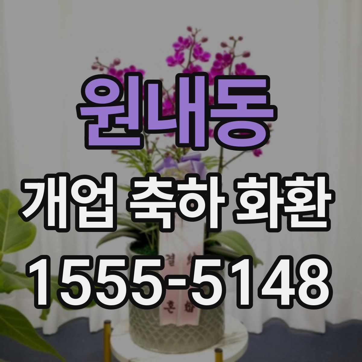 원내동 개업 축하 화환