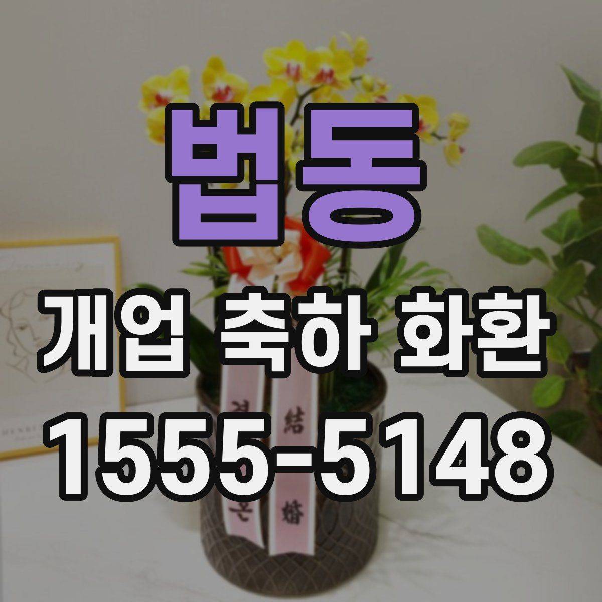 법동 개업 축하 화환