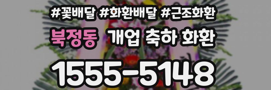 북정동 개업 축하 화환