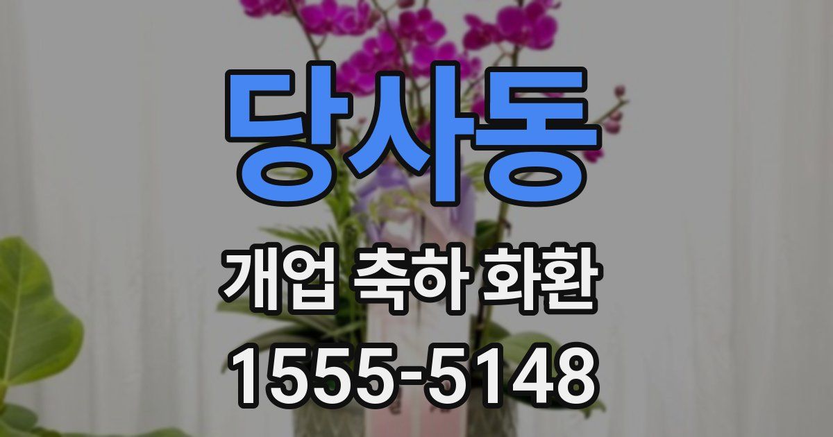 당사동 개업 축하 화환