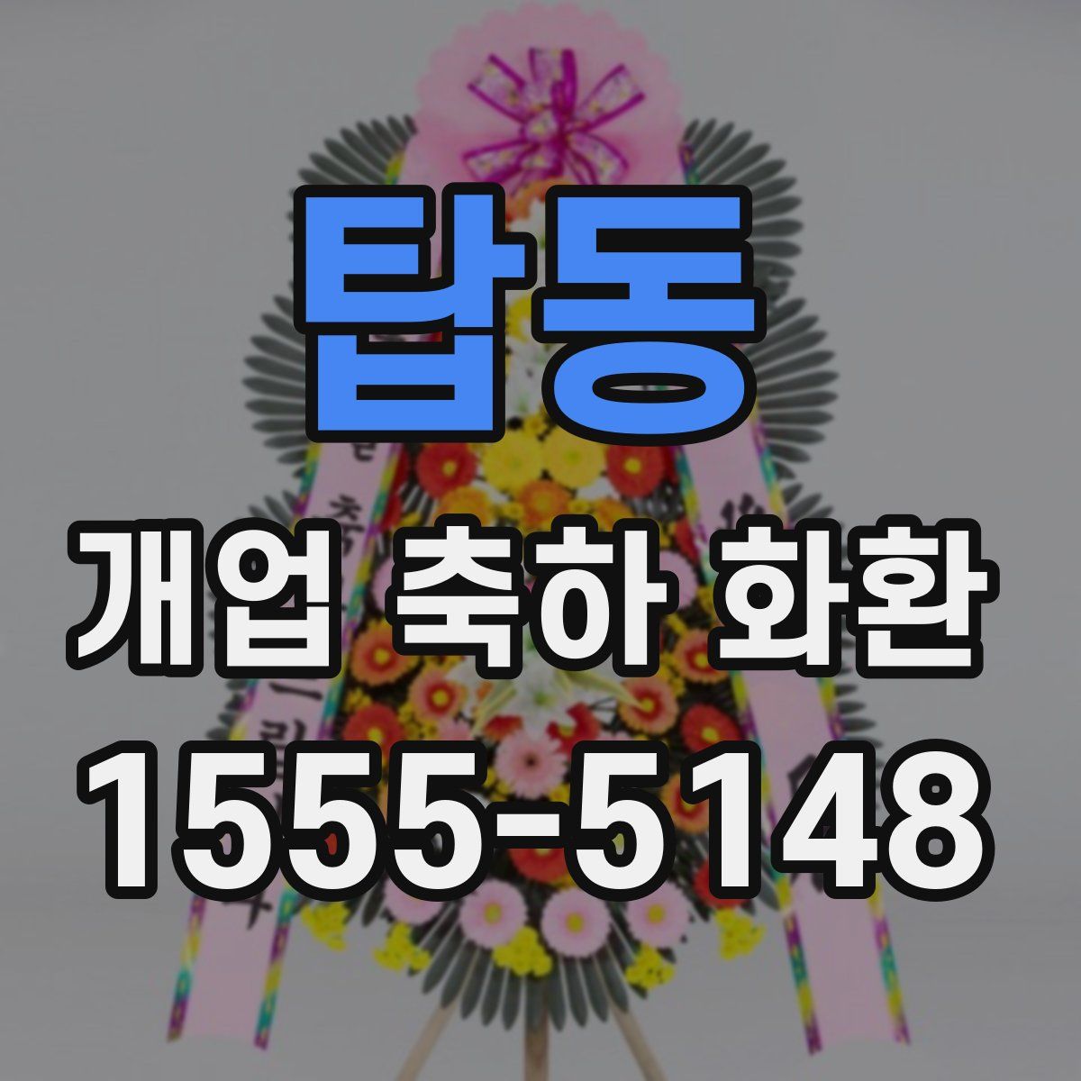 탑동 개업 축하 화환