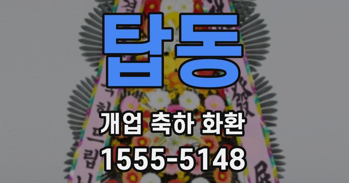 탑동 개업 축하 화환