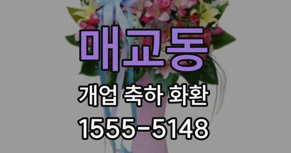 매교동 개업 축하 화환