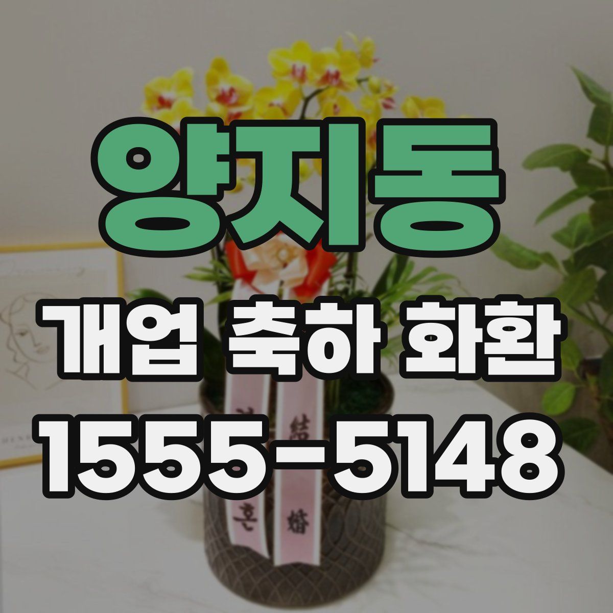 양지동 개업 축하 화환