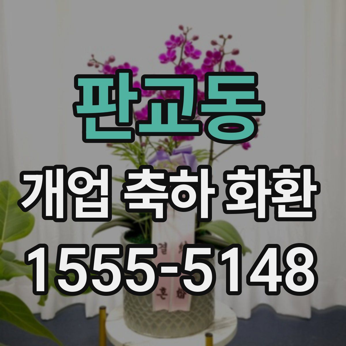 판교동 개업 축하 화환