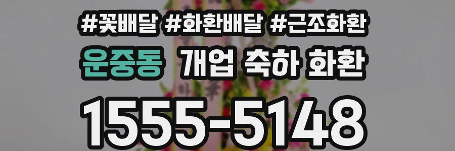 운중동 개업 축하 화환