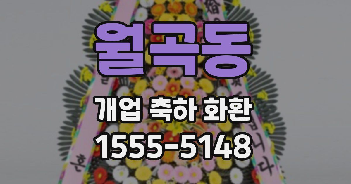 월곡동 개업 축하 화환