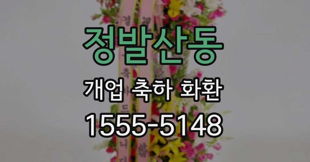 정발산동 개업 축하 화환