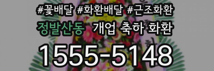 정발산동 개업 축하 화환