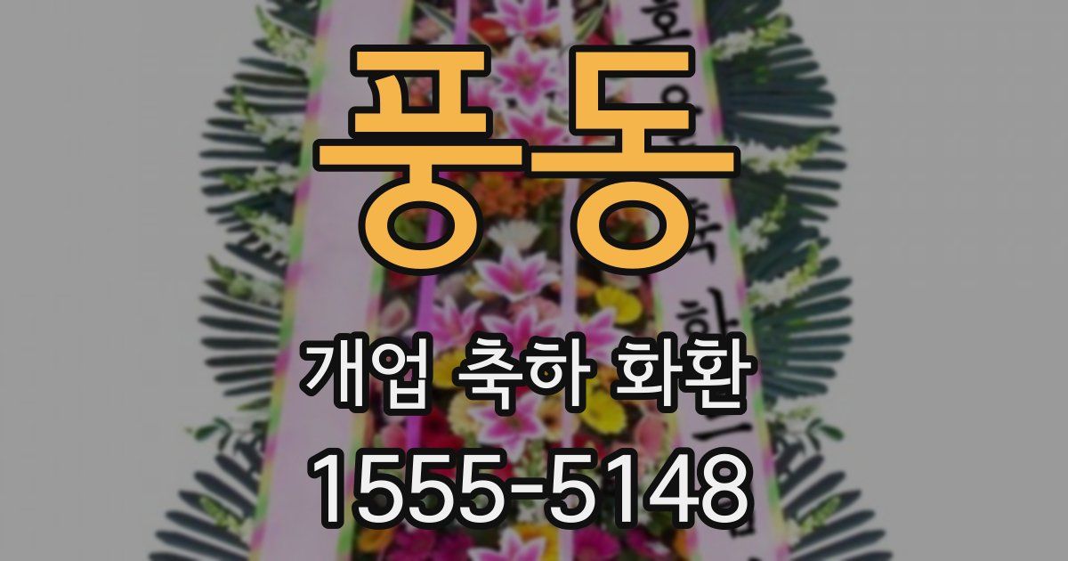 풍동 개업 축하 화환