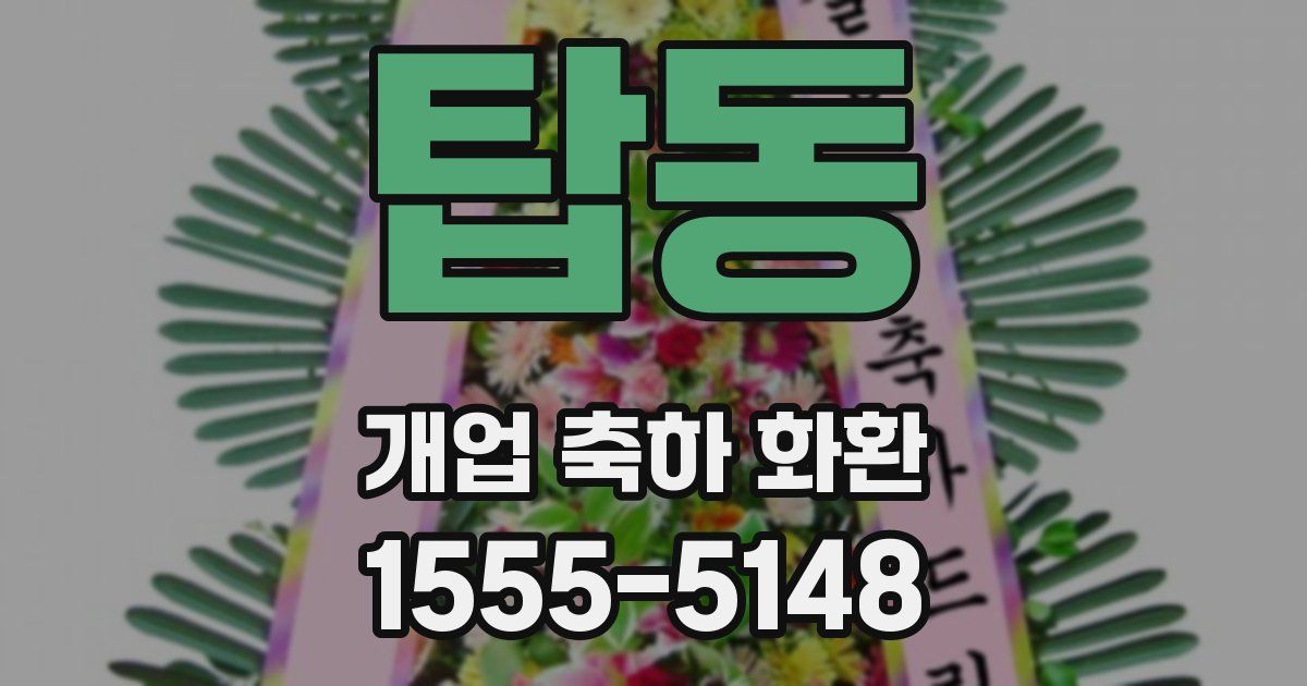 탑동 개업 축하 화환