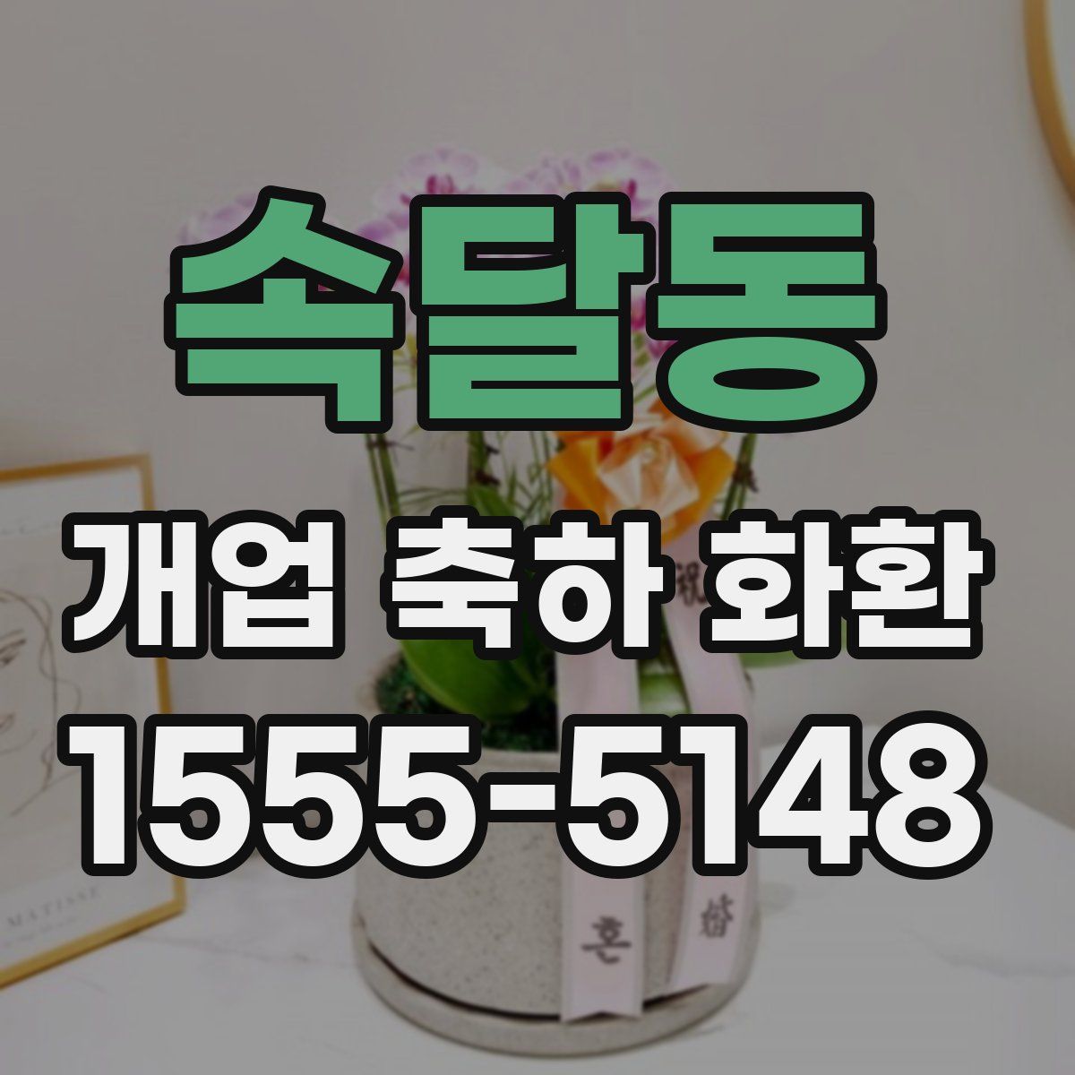 속달동 개업 축하 화환