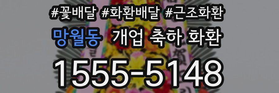 망월동 개업 축하 화환