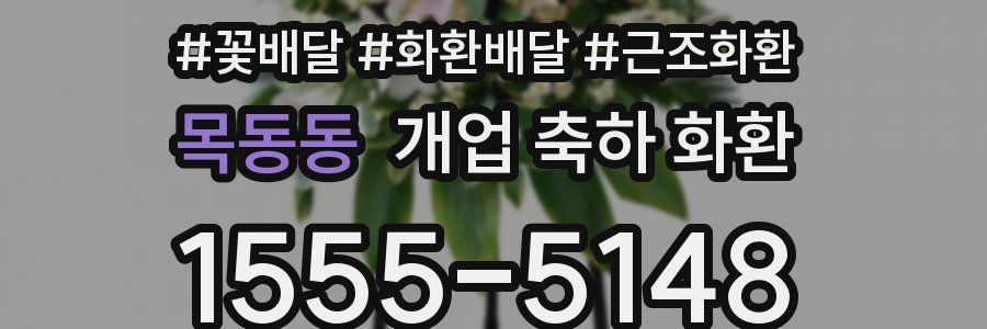 목동동 개업 축하 화환