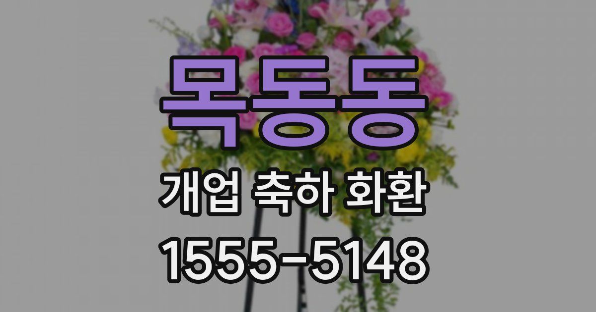 목동동 개업 축하 화환