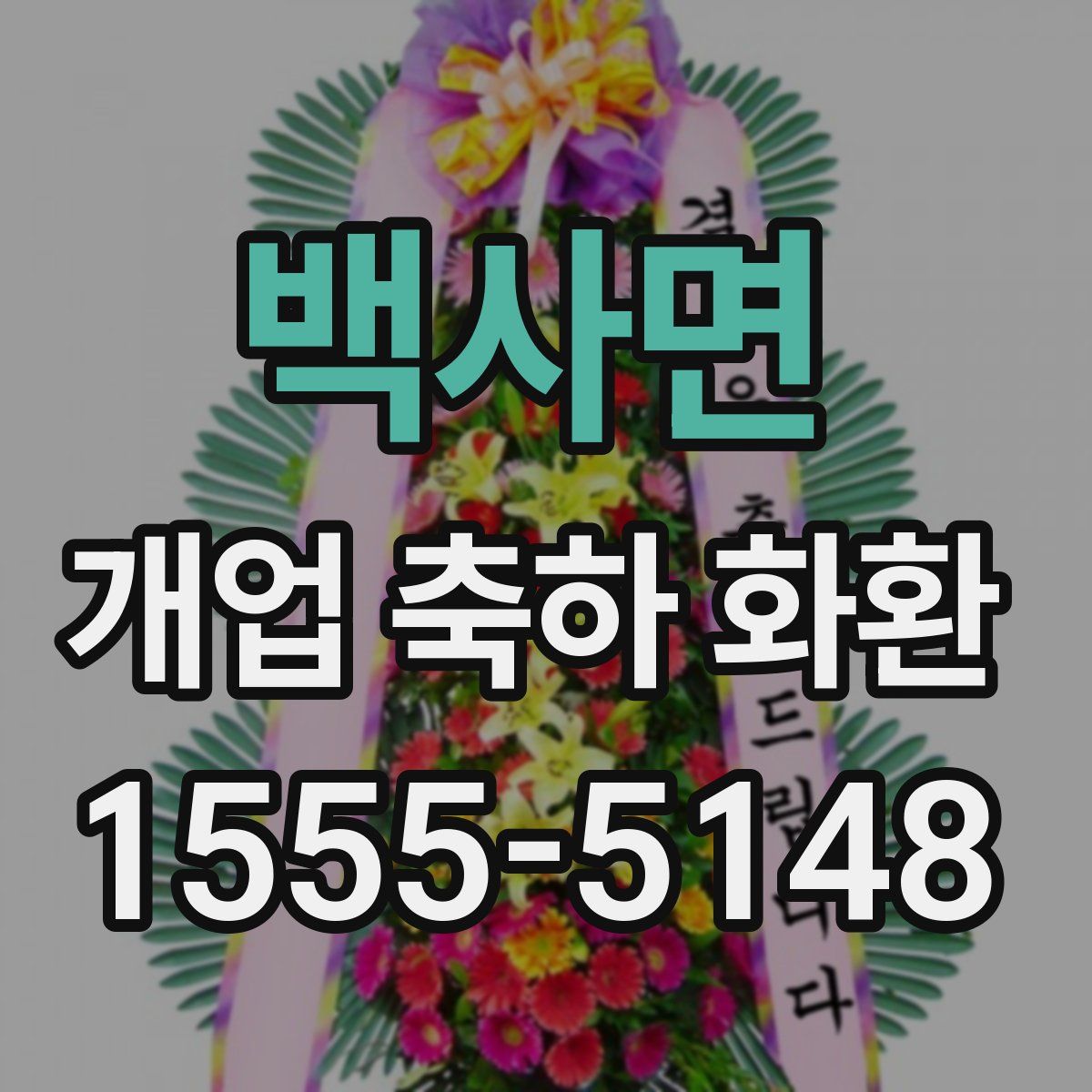 백사면 개업 축하 화환