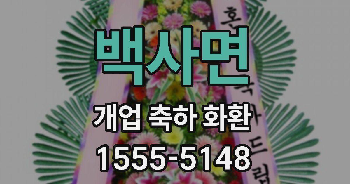 백사면 개업 축하 화환