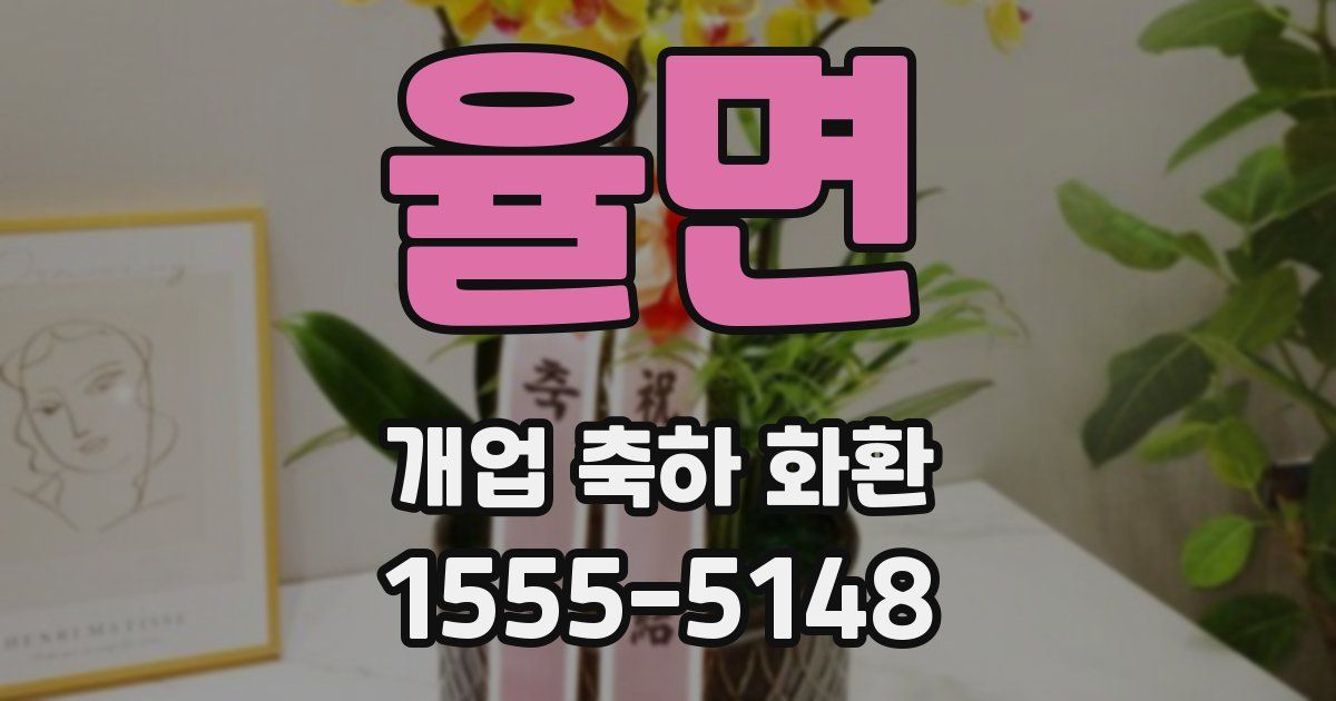 율면 개업 축하 화환