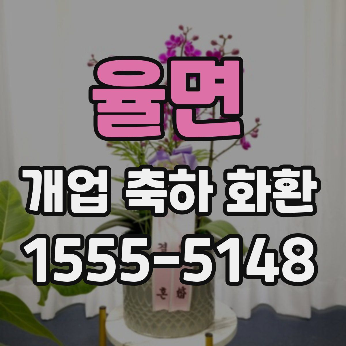 율면 개업 축하 화환