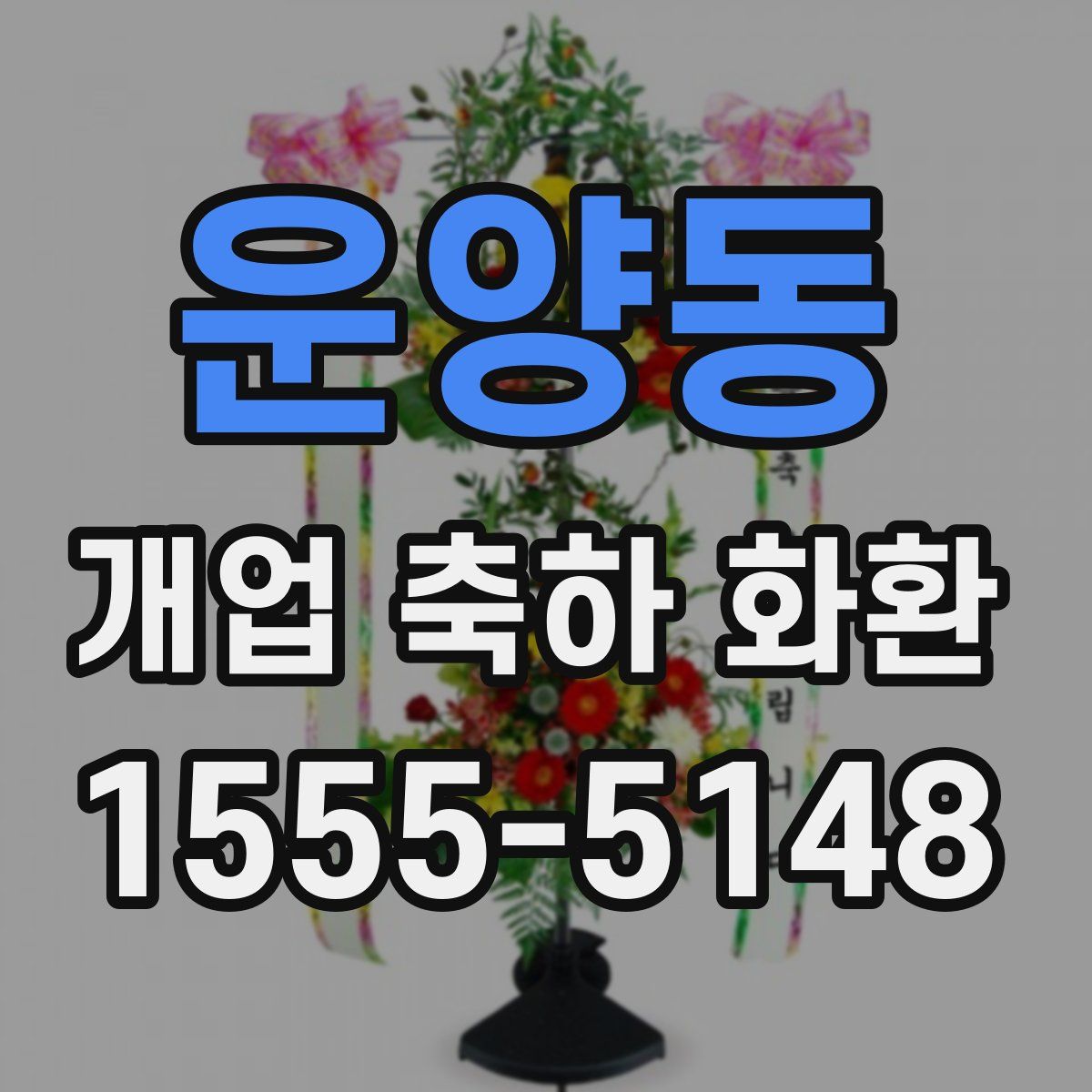 운양동 개업 축하 화환