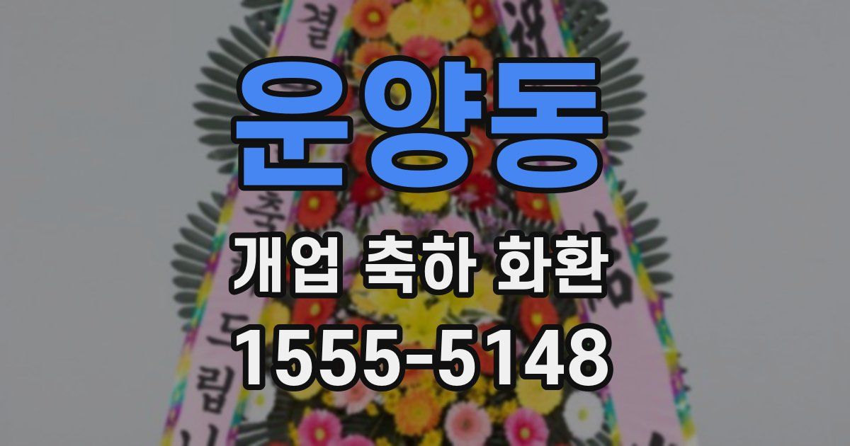운양동 개업 축하 화환