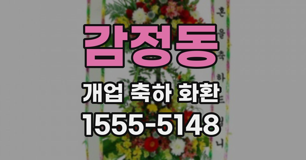 감정동 개업 축하 화환