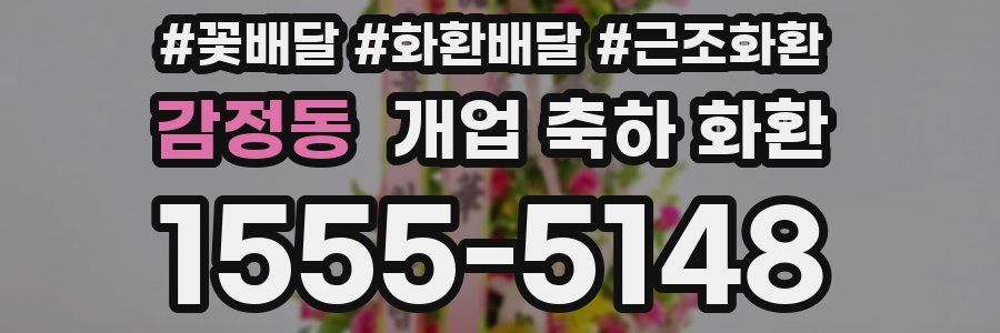 감정동 개업 축하 화환