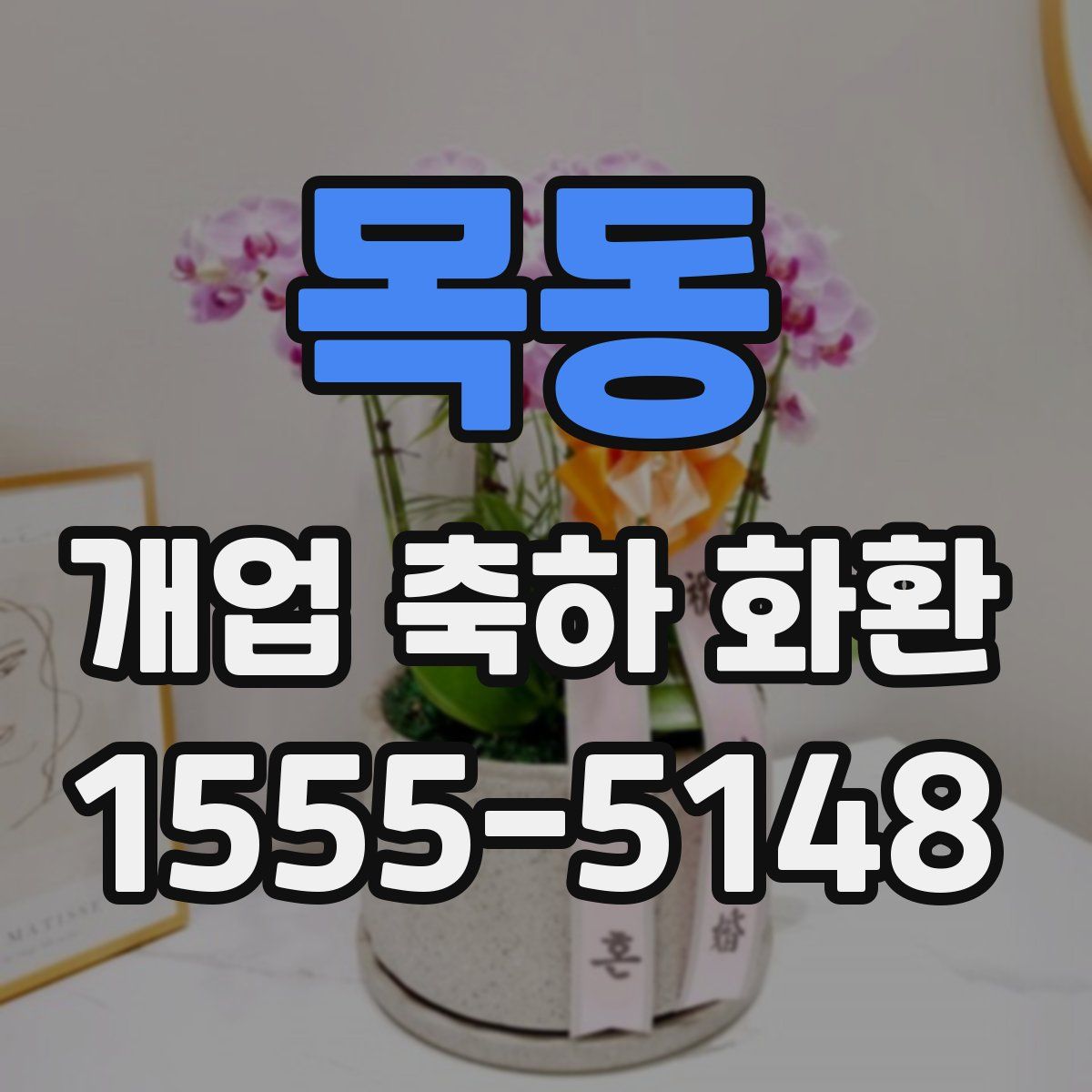 목동 개업 축하 화환
