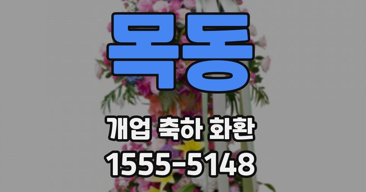 목동 개업 축하 화환