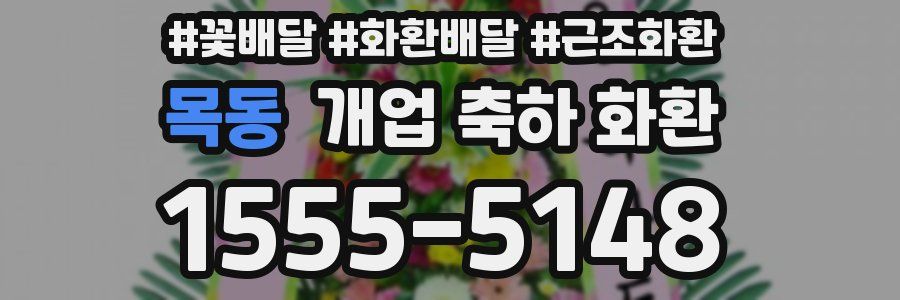 목동 개업 축하 화환