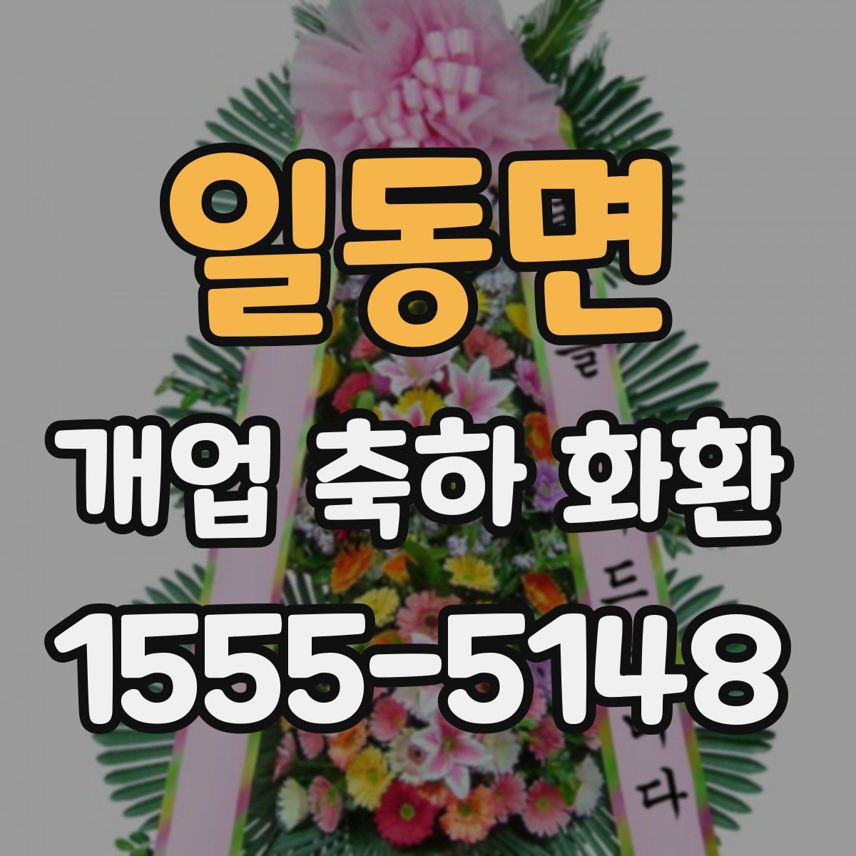 일동면 개업 축하 화환