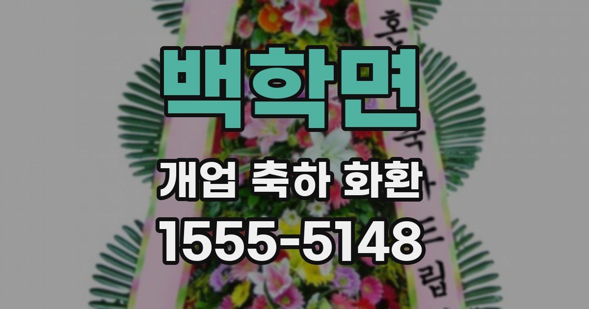 백학면 개업 축하 화환