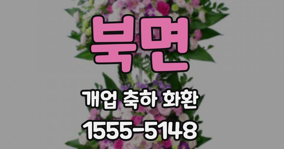 북면 개업 축하 화환