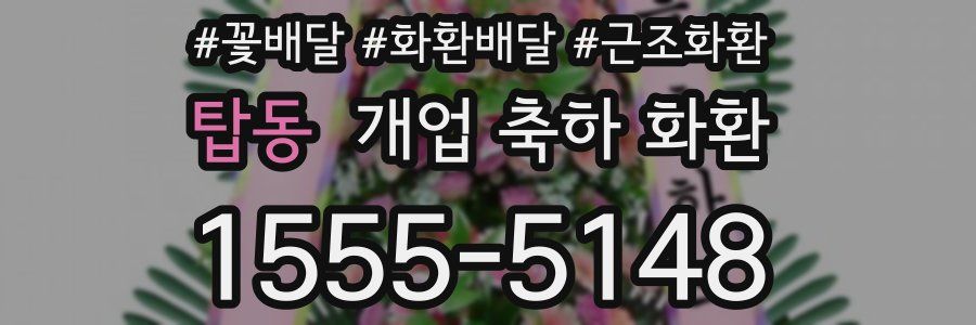 탑동 개업 축하 화환