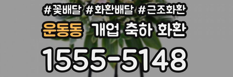 운동동 개업 축하 화환