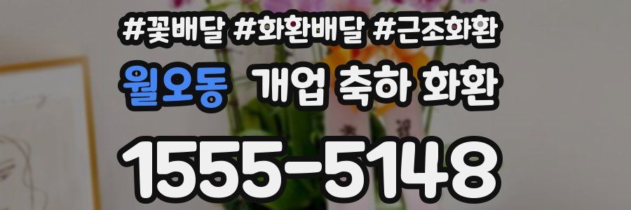 월오동 개업 축하 화환