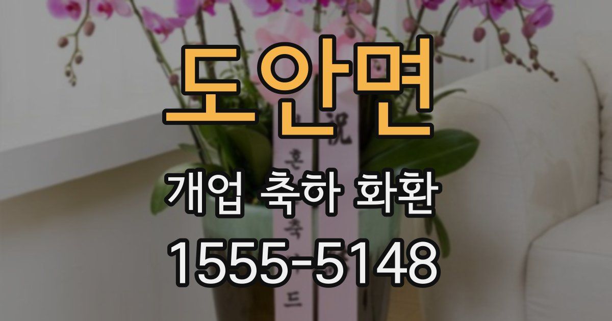 도안면 개업 축하 화환