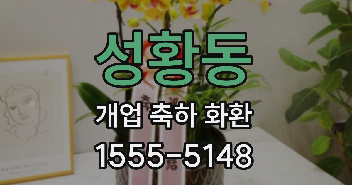 성황동 개업 축하 화환