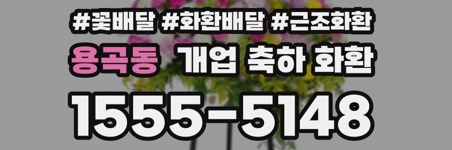 용곡동 개업 축하 화환